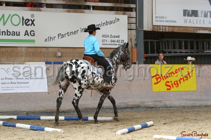 26-ApHC GT_064.jpg